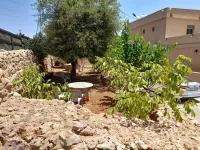 مزرعة القيقب عجلون wild strawberry villa ajloun Hotel a ‘Ajlun