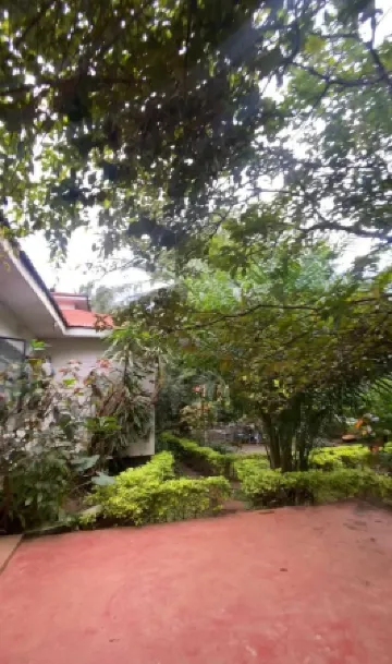 Jutland in Moshi Urban