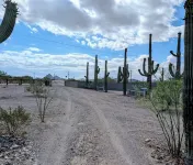 Desert Gem on 1 Acre 2bed/1 bath Hotels in Tucson Estates