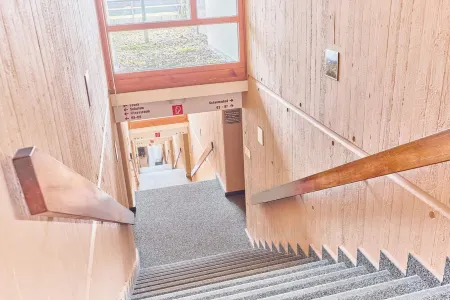 NEW Greta - Your home in the magical Black Forest Отели в г. Байрсброн