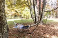 NEW:Luxury 4BR Log Cabin surrounded by trees in Hunter. Near Hiking & Waterfalls