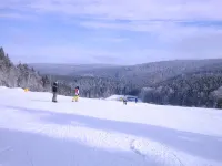 Ski- Und Wanderurlaub im Wald Ferienhaus Adlerblick - Parvekkeita