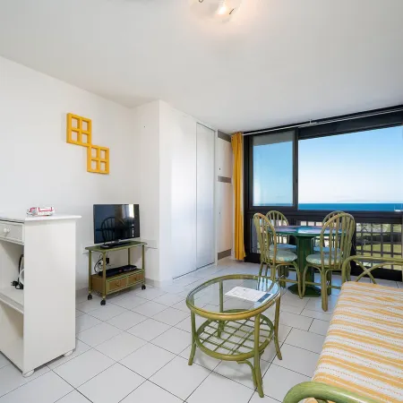 Apartment in Agde with Direct Beach Access