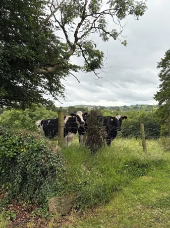 Stylish secluded cottage with beautiful views Отели в г. Ома