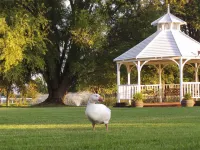 Parklands Resort Mudgee Hotels in Mudgee
