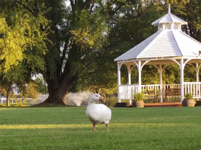 Parklands Resort Mudgee Hotels near Butcher Shop Cafe Mudgee