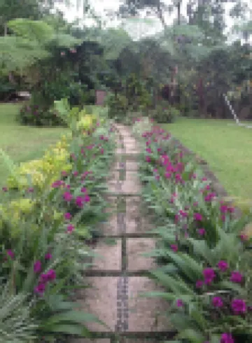 Tiavi Mountain Cabins Hotels in 