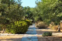 Villa Livana Naxos Private Pool and Jaccuzi