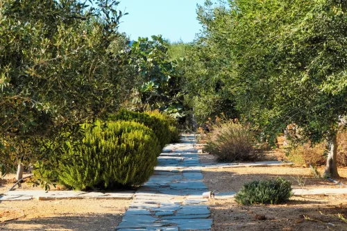 Villa Livana Naxos Private Pool and Jaccuzi