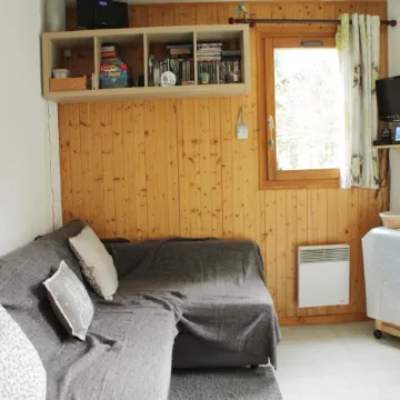 Holiday home in Chatel near ski area