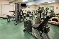 Holiday Inn 馬塔莫羅斯 by IHG - 健身室/gym room