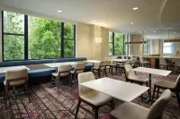 Residence Inn Atlanta Midtown/Peachtree at 17th