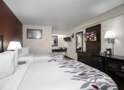 레드 루프 인 샴페인 - 유니버시티