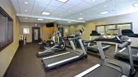 Holiday Inn Express & Suites ATLANTA NE - DULUTH by IHG - Gym