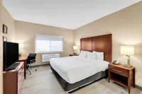 Comfort Suites Lakewood - Denver - Wifi