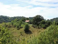 Vineyard cottage Ranč pri Hanzeku