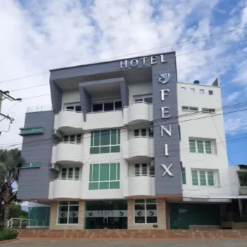 Hotel Fenix