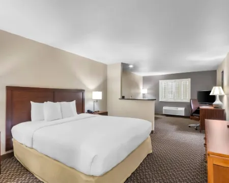 撒切爾舒適套房酒店 撒切酒店