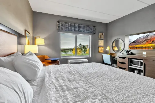 Hampton Inn Buffalo - Amherst