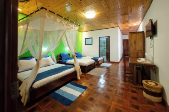 망고로 호텔  호텔