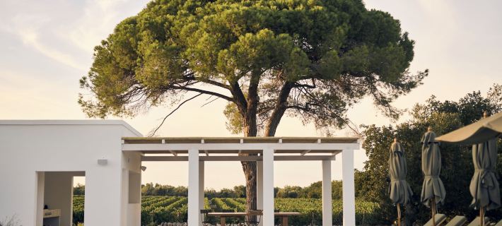 Masseria Pietra e Terra Hotels in Carovigno
