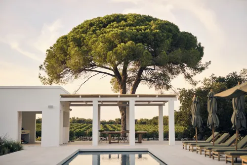 Masseria Pietra e Terra