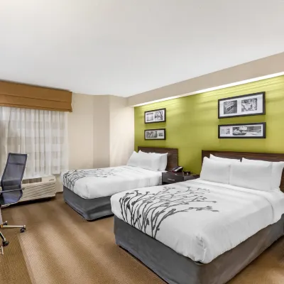 Sleep Inn at Greenville Convention Center Hotels near Grace Church - Downtown