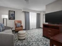 Hilton Garden Inn Denver Downtown Hotels in Denver