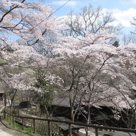 Akiu Kinoie