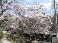 Akiu Kinoie