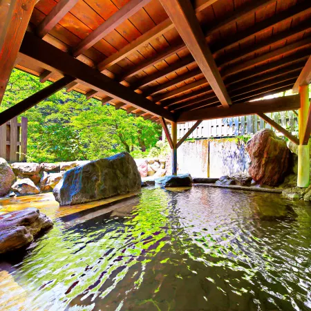 Omaki Spa Kanko Ryokan