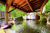 Omaki Spa Kanko Ryokan - Hot Springs