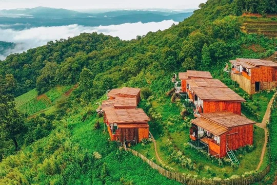 รูปภาพของไร่ดอยช้าง ม่อนเเจ่ม