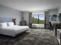 Hampton Inn & Suites Dallas-DFW Arpt W-SH 183 Hurst Hoteles en Hurst