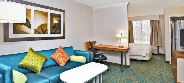 SpringHill Suites Chicago Naperville/Warrenville Hotels in DuPage County