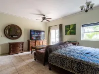 8203 - King, Ocean Dream, Cabarete! Hotels in Cabarete