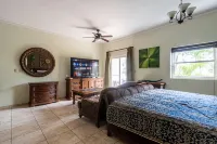 8203 - King, Ocean Dream, Cabarete!