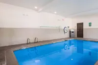 La Quinta Inn & Suites by Wyndham Auburn - Pool