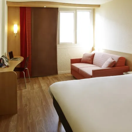 Ibis Roanne