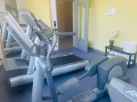 Hôtel Mercure Niort Marais Poitevin - Gym