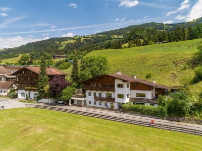 Bergkraft Apartments Hopfgarten