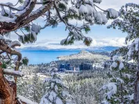 Harrah’s Lake Tahoe – A Caesars Rewards Destination - Scenic