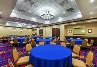 Hilton Garden Inn the Colony Dallas - Pet friendly