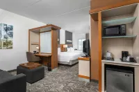SpringHill Suites Chattanooga Downtown/Cameron Harbor - Parvekkeita