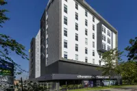 City Express Plus by Marriott Bogota Aeropuerto - ペット同伴可