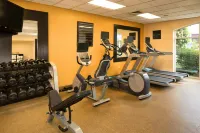 Hilton Garden Inn Auburn Riverwatch - Gym
