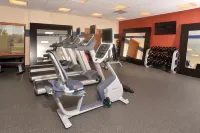 Hampton Inn Springfield Southeast - Badekar