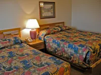 Royal Motor Inn - Wifi