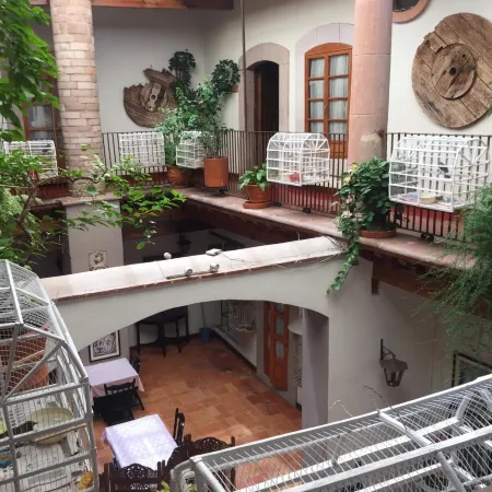 Casa del Pingorongo