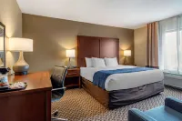 Comfort Inn & Suites Hotels in Mineral Bluff